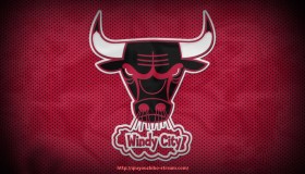 球友体育直播-不用健身器材练肌肉的方法及体育训练科学指导